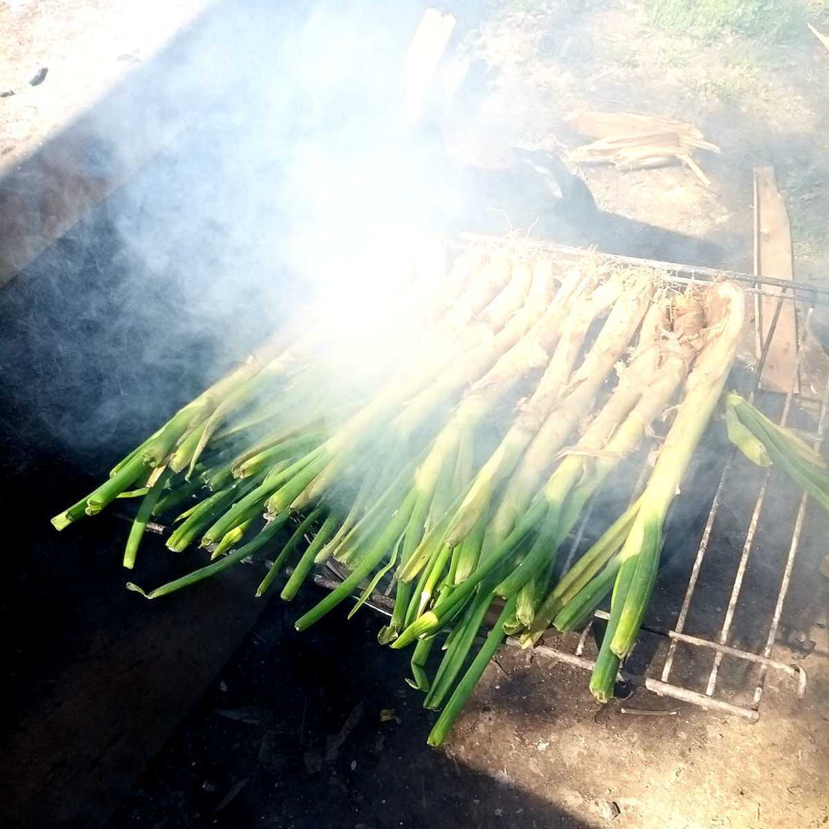 Calçotada 2024